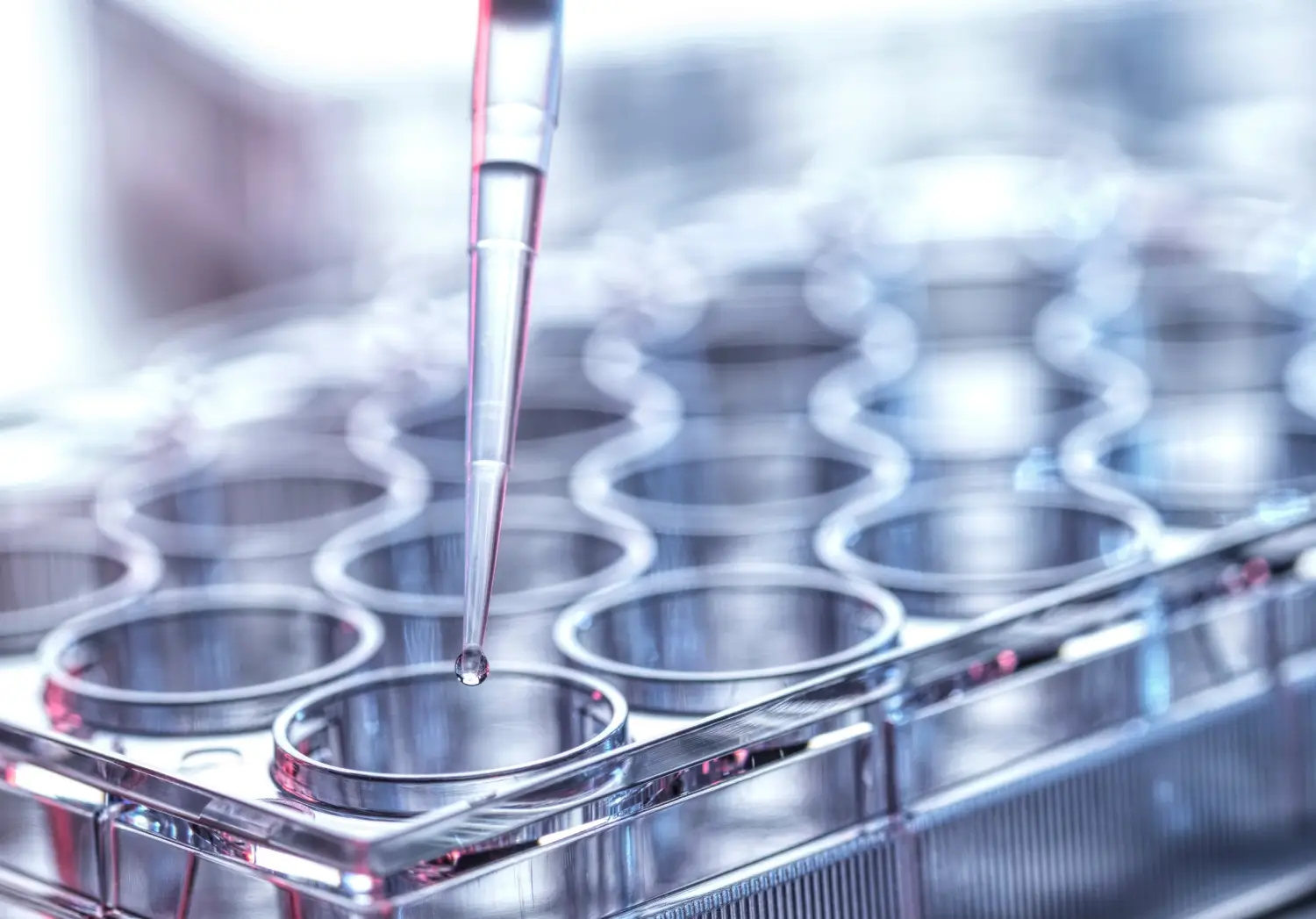 Laboratory pipette dropping liquid into test tubes for scientific research